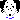 fujikiti2