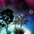 world�ʽ�����2��